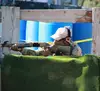 DaveCano
