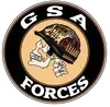 GSA FORCES 