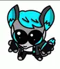 NeritoBonito